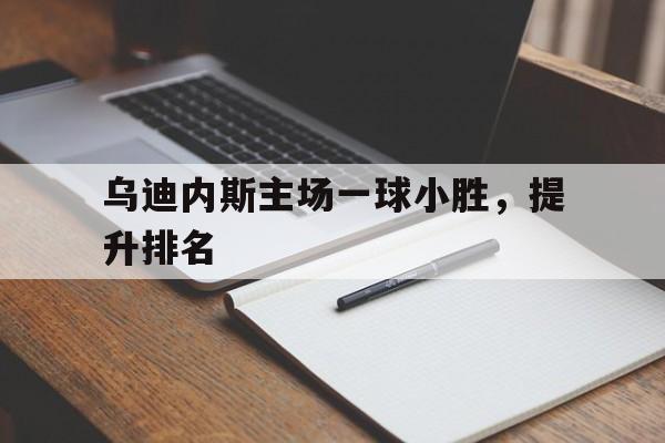 乌迪内斯主场一球小胜，提升排名