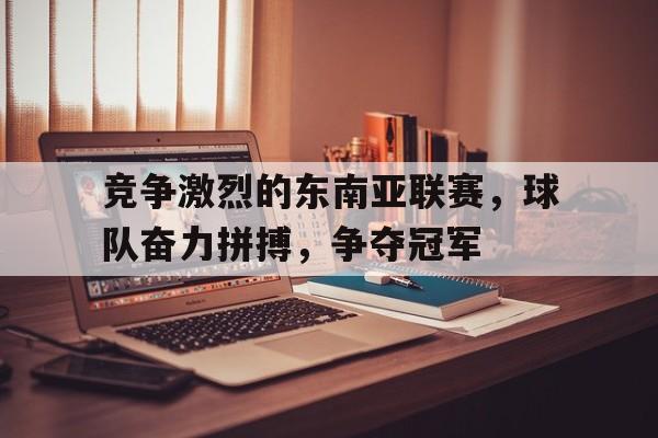 竞争激烈的东南亚联赛，球队奋力拼搏，争夺冠军